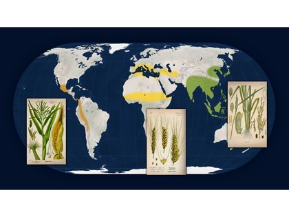Les trois civilisations agricoles