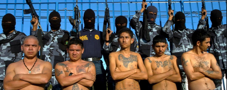 JHbqSLbbo0i_Zetas.png